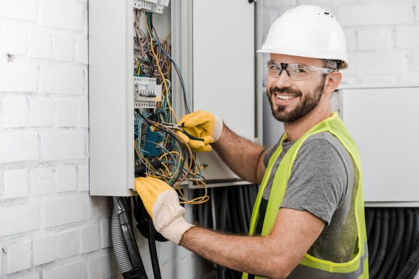 Best Electrical Upgrades for Homes  in Clio, AL