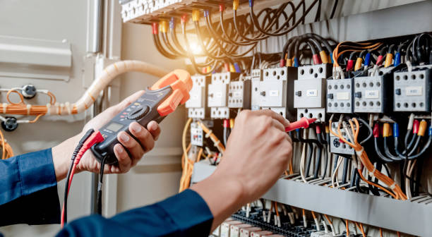 Best Ceiling Fan Installation Electrician  in Clio, AL