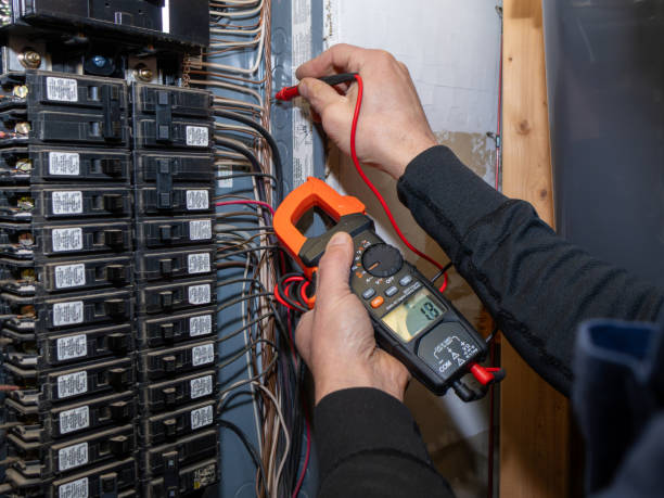 Best Home Electrical Repair  in Clio, AL
