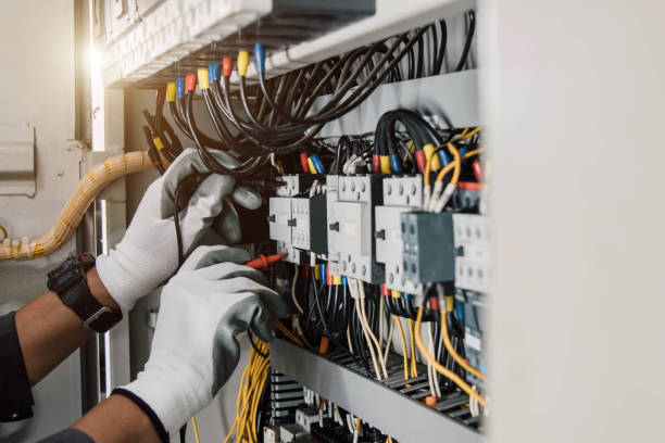 Best Electric Panel Repair  in Clio, AL