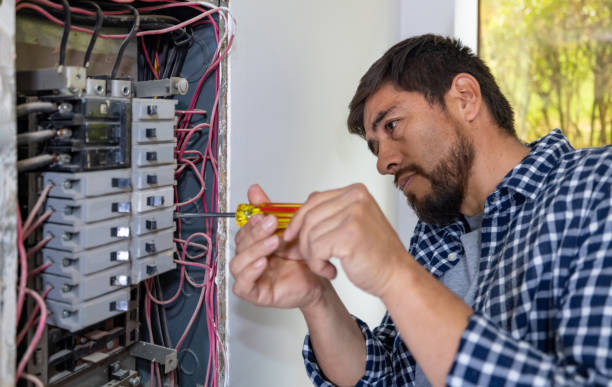 Best Affordable Electrician  in Clio, AL